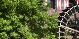 ihr zahnarzt in Brüggen