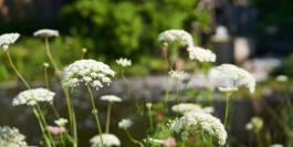 ihr zahnarzt in Brüggen